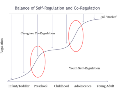 co-reg graph 